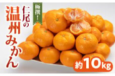 【ふるさと納税】 みかん 温州みかん 極撰 約 10kg [ フルーツ 果物 果実 柑橘 デザート スイーツ 甘い 果汁 常温 食品 国産 香川県 三豊市 お取り寄せ お取り寄せグルメ ギフト プレゼント 送料無料 旬 北浜商店 ]【配送不可地域：北海道・沖縄県・離島】