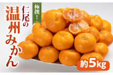 【ふるさと納税】みかん  温州みかん 極撰 約 5kg [ フルーツ 果物 果実 柑橘 デザート スイーツ 甘い 果汁 常温 食品 国産 香川県 三豊市 お取り寄せ お取り寄せグルメ ギフト プレゼント みかん 送料無料 旬 北浜商店 ]【配送不可地域：北海道・沖縄県・離島】