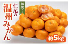 【ふるさと納税】みかん  温州みかん 極撰 約 5kg [ フルーツ 果物 果実 柑橘 デザート スイーツ 甘い 果汁 常温 食品 国産 香川県 三豊市 お取り寄せ お取り寄せグルメ ギフト プレゼント みかん 送料無料 旬 北浜商店 ]【配送不可地域：北海道・沖縄県・離島】