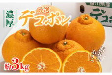 【ふるさと納税】 みかん デコポン 濃厚ぷりっぷりっデコポン 厳選 約3kg [ 不知火 フルーツ 果物 果実 濃厚 柑橘 デザート スイーツ 食品 国産 香川県 三豊市 お取り寄せ ギフト プレゼント 送料無料 北浜商店 ] 【2026年出荷】【配送不可地域：北海道・沖縄県・離島】
