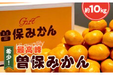 【ふるさと納税】 みかん 最高峰 曽保みかん 約10kg [ フルーツ 果物 果実 希少 柑橘 デザート スイーツ 甘い 果汁 常温 食品 国産 香川県 三豊市 お取り寄せ お取り寄せグルメ ギフト プレゼント 送料無料  旬 北浜商店 ] 【配送不可地域：北海道・沖縄県・離島】
