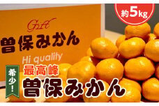 【ふるさと納税】 みかん 最高峰 曽保みかん 約5kg [ フルーツ 果物 果実 希少 柑橘 デザート スイーツ 甘い 果汁 常温 食品 国産 香川県 三豊市 お取り寄せ お取り寄せグルメ ギフト 返礼品 プレゼント 送料無料  旬 北浜商店 ] 【配送不可地域：北海道・沖縄県・離島】