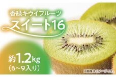 【ふるさと納税】【配送不可地域：北海道・沖縄県・離島】香緑キウイ 期間限定 キウイ 約 1.2kg 認定品 最上級品 スイート16 キウイフルーツ 1箱 三豊市 お取り寄せ お取り寄せフルーツ 食品 食べ物 果物 フルーツ デザート おやつ 朝食 国産 香川産 送料無料  秋 旬
