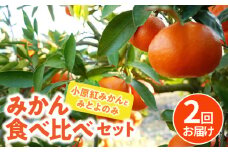 【ふるさと納税】みかん 5kg 2回お届け 香川県 オリジナル品種 小原紅みかん みとよのみ みかん食べ比べ セット 柑橘 家庭用 お取り寄せお取り寄せ お取り寄せグルメ フルーツ お取り寄せ 送料無料  秋 旬
