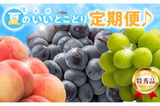 【ふるさと納税】【配送不可地域：北海道・沖縄県・離島】特秀品 夏 定期便  7月 桃 8月 ニューピオーネ 9月 シャインマスカット フルーツ 旬の季節  鮮度 いいとこどり 果実 毎月 お取り寄せグルメ 送料無料 香川県 三豊市  秋 旬