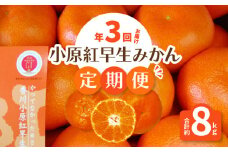 【ふるさと納税】【配送不可地域：北海道・沖縄県・離島】みかん 定期便 年3回 約 8.5kg 小原紅早生みかん ハウス栽培 露地栽培 樹上完熟栽培 柑橘 マスターショップセレクト 日本一紅い 濃厚な甘さ 果実 果物 フルーツ スイーツ 香川県 三豊市 お取り寄せ 送料無料