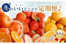 【ふるさと納税】【配送不可地域：北海道・沖縄県・離島】特秀品 冬 定期便 12月 小原紅早生みかん 1月 さぬき姫いちご 2パック 2月 せとか & デコポン フルーツ 旬の季節 鮮度 いいとこどり 果実 毎月 お取り寄せグルメ 送料無料 香川県 三豊市