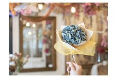 【ふるさと納税】 三豊市 紫雲出山 あじさい 5本 ドライフラワー 花 雑貨 インテリア 壁掛け 観賞 玄関 かわいい オシャレ お祝い プレゼント 贈り物 ギフト お取り寄せ 香川県 送料無料  秋 旬