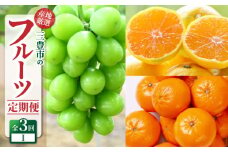 【ふるさと納税】【配送不可地域：北海道・沖縄県・離島】定期便 3回 フルーツ シャインマスカット 1房 ゆら早生みかん 果汁たっぷり 小原紅早生みかん みかん 果物 甘くて濃い 濃厚 オリジナルみかん 旬の季節にお届け 香川県 三豊市 お取り寄せ 送料無料  秋 旬