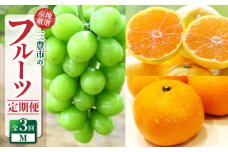 【ふるさと納税】【配送不可地域：北海道・沖縄県・離島】定期便 3回 フルーツ シャインマスカット 1房 糖度チェック 実施 ゆら早生みかん 果汁たっぷり 宮川早生みかん Ｓ～Ｌサイズ 甘み 酸味 バランス 良い 旬の季節 お届け 香川県 三豊市 お取り寄せ 送料無料