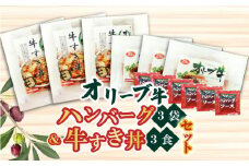 【ふるさと納税】香川県産黒毛和牛 オリーブ牛 ハンバーグ3袋(100g×6枚入)&牛すき丼3食セット