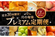 【ふるさと納税】 【完全30本限定！】【配送不可地域：北海道・沖縄県・離島】月の旬果プレミアム定期便♪(12ヶ月連続) フルーツ 果物 定期便 プレミアム 12ヶ月 旬フルーツ定期便 数量限定 厳選 希少 果物王国 香川県 三豊市 送料無料  年12回 お取り寄せ