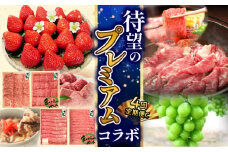 【ふるさと納税】　選べる　プレミアムコラボ【2回】【4回】定期便C定期便C 果物 果実 肉 お肉 牛肉 セット 詰め合わせ 食べ比べ 定期 定期便 切り落とし モモ 肩ロース スライス いちご シャインマスカット 送料無料 バーベキュー   シャインマスカット