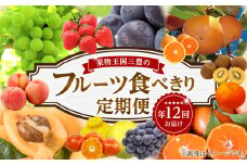 【ふるさと納税】【配送不可地域：北海道・沖縄県・離島】フルーツ 食べきり定期便 年12回 定期 定期便 定期的 フルーツ 果物 果物定期便 果物王国 フルーツ王国 食べきり 食べ比べ 詰め合わせ 旬 文旦 いちご しらぬい 清見 びわ 桃 ピオーネ ぶどう マスカット キウイ