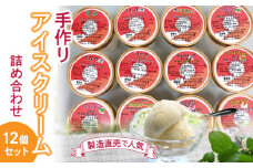 【ふるさと納税】製造直売 人気 手作りアイスクリーム 12個セット 手作り アイス アイスクリーム 氷菓子 氷菓 詰め合わせ セット 味比べ 季節限定 フレーバー カップアイス カップ ミルクアイス バニラアイス バニラ チョコチップ かぼちゃ いちご 香川県 三豊市 送料無料