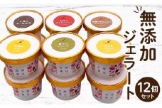 【ふるさと納税】ここのときジェラート 12点セット ジェラート セット 食べ比べ 味比べ アイス アイスクリーム 氷菓子 氷菓 バニラ ボイセンベリー モリンガ コーヒー チョコレート レモン グルメ デザート スイーツ 無添加 お取り寄せ おすすめ 香川県 三豊市 送料無料