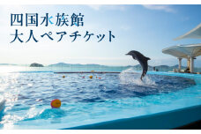 【ふるさと納税】四国水族館 大人 ペアチケット 水族館 四国水景 イルカ 瀬戸内海 旅行 旅 家族旅行 夫婦旅行 恋人 デート 友達 ペア 施設 券 チケット 施設利用券 入館券 入場券 パンフレット 展示 海の生き物 海 海洋生物 魚 観賞 香川県 三豊市 送料無料