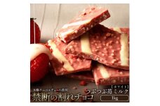 【ふるさと納税】スイーツ 割れチョコ つぶつぶ苺ミルク 1kg割れチョコ 訳あり チョコレート チョコ 割れチョコ スイーツ詰め合わせ 大量 お菓子 子供 お取り寄せスイーツ規格外 不揃い 禁断の割れチョコショコラティエ 秋 旬