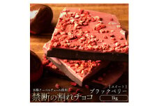 【ふるさと納税】スイーツ 割れチョコ ブラックベリー 1kg割れチョコ 訳あり チョコレート チョコ 割れチョコ スイーツ詰め合わせ 大量 お菓子 子供 お取り寄せスイーツ規格外 不揃い 禁断の割れチョコショコラティエ 秋 旬