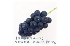 【ふるさと納税】ＮＥＷピオーネぶどう 約600ｇ さぬき讃フルーツ 甘さとジューシーさが詰まった最高級ピオーネ！ 大粒で食べごたえ抜群！ピオーネぶどう 風味豊かで甘い、完熟ピオーネ 新鮮さが自慢のさぬき讃フルーツのピオーネ  秋 旬