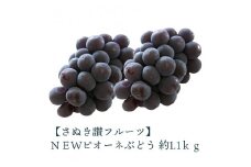 【ふるさと納税】 締め切り間近 ＮＥＷピオーネぶどう 約1.1ｋｇ さぬき讃フルーツ 甘さとジューシーさが詰まった最高級ピオーネ！ 大粒で食べごたえ抜群！ピオーネぶどう 風味豊かで甘い、完熟ピオーネ 新鮮さが自慢のさぬき讃フルーツのピオーネ  秋 旬