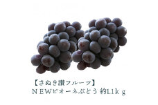 【ふるさと納税】 締め切り間近 ＮＥＷピオーネぶどう 約1.1ｋｇ さぬき讃フルーツ 甘さとジューシーさが詰まった最高級ピオーネ！ 大粒で食べごたえ抜群！ピオーネぶどう 風味豊かで甘い、完熟ピオーネ 新鮮さが自慢のさぬき讃フルーツのピオーネ  秋 旬