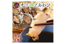 【ふるさと納税】【6回定期便】【配送不可地域：北海道・東北・沖縄県・離島】オリーブアワビ約1kg（１０～１２個程度）×6回定期便 殻付き 鮑 特産品 送料無料 おすすめ お取り寄せ お取り寄せグルメ 海鮮 ステーキ 酒蒸し バター焼き ソテー 鉄板焼き BBQ   あわび