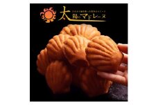 【ふるさと納税】太陽のマドレーヌ9個セット マドレーヌ 焼き菓子 スイーツ ギフト プレゼント グルメ 贈り物 贈答 お祝い プチギフト お返し 送料無料 お取り寄せスイーツ 子供 【1万円以下】  お試し 秋 旬