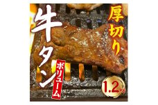 【ふるさと納税】創業明治22年！老舗のあんどう醤油とたれを共同開発！ 旨タレ厚切り牛タン　ササハラ　焼肉　BBQ 肉厚 肉 牛タン 焼くだけ 簡単 送料無料 香川県 三豊市 パーティー ふるさと納税オリジナル 味付け肉 柔らかい