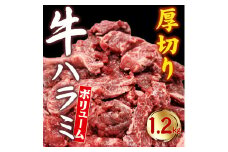 【ふるさと納税】創業明治22年！老舗のあんどう醤油とたれを共同開発！　旨タレ 厚切りハラミ　ササハラ　焼肉　BBQ 肉厚 肉 牛ハラミ 焼くだけ 簡単 送料無料 香川県　三豊市　パーティー　ふるさと納税オリジナル　味付け肉 柔らかい 牛肉 訳あり 訳アリ