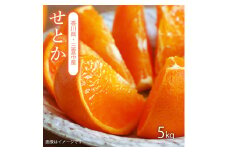 【ふるさと納税】【配送不可地域：北海道・沖縄県・離島】せとか　三豊市産　約5ｋｇ 秋 旬