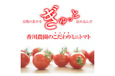 【ふるさと納税】ミニトマト 1.5kg~3kg 選べる 香川農園 三豊市産トマト プチトマト 訳あり ぎゅっと詰まった太陽のエネルギー 新鮮そのまま 健康と美味しさの両立 一口で感じるフレッシュ 一日分のビタミンチャージ 香川県 三豊市 トマト トマト好き トマト農家 1kg以上