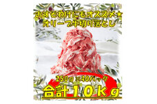 【ふるさと納税】おすそ分けにも！オリーブ牛切り落とし10Kg 内祝　内祝い　お祝い返し　ウェディングギフト 先行予約　ブライダルギフト 母の日 父の日 クリスマス お正月 年末年始 パーティー 年始挨拶　バレンタインデー　ホワイトデー 人気　手土産 退職祝い 快気祝い