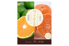 【ふるさと納税】【配送不可地域：北海道・沖縄県・離島】 フルーツ定期便 2回 三豊市 極早生みかん2.5kg 石地みかん2.5kg 定期便 フルーツ定期便 果物 果物定期便 定期 くだもの 定期便 くだもの定期便 ふるさと納税フルーツ定期便 ふるさと納税定期便 フルーツ 秋 旬