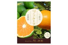 【ふるさと納税】【配送不可地域：北海道・沖縄県・離島】 フルーツ定期便 2回 三豊市 極早生みかん2.5kg 晩生みかん2.5kg 定期便 フルーツ定期便 果物 果物定期便 定期 くだもの 定期便 くだもの定期便 ふるさと納税フルーツ定期便 ふるさと納税定期便 秋 旬