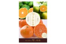 【ふるさと納税】【配送不可地域：北海道・沖縄県・離島】 フルーツ定期便 3回 三豊市 極早生みかん2.5kg 早生みかん2.5kg 石地みかん2.5kg 定期便 フルーツ定期便 果物 果物定期便 定期 くだもの 定期便 くだもの定期便 ふるさと納税フルーツ定期便 ふるさと納税定期便