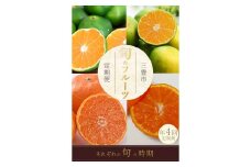 【ふるさと納税】【配送不可地域：北海道・沖縄県・離島】 フルーツ定期便 4回 三豊市 極早生みかん2.5kg 早生みかん2.5kg 石地みかん2.5kg 晩生みかん2.5kg 定期便 果物 果物定期便 定期 くだもの 定期便 くだもの定期便 ふるさと納税フルーツ定期便 ふるさと納税定期便