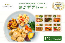 【ふるさと納税】三ツ星ファームおかずプレート 5～20食セット 秋 旬