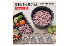 【ふるさと納税】【テーブルマーク】黒米ともち麦ごはん（720ｇ×4袋）