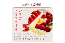 【ふるさと納税】誕生日ケーキ 【パティシエ手作り】アイス数字ケーキ [ スイーツ アイス ケーキ ナンバーケーキ アニバーサリーケーキ 立体 パーティー 誕生日 ギフト 大人 子供 かわいい セット お取り寄せ おしゃれ プチギフト ]  秋 旬