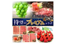 【ふるさと納税】　選べる　プレミアムコラボ【2回】【4回】定期便C定期便C 果物 果実 肉 お肉 牛肉 セット 詰め合わせ 食べ比べ 定期 定期便 切り落とし モモ 肩ロース スライス いちご シャインマスカット 送料無料 バーベキュー   シャインマスカット