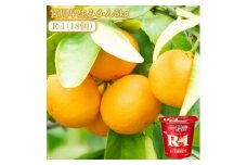 【ふるさと納税】【先行予約】【配送不可地域：北海道・沖縄県・離島】宮川早生みかん5kgと四国明治株式会社で作られた プロビオヨーグルトR-1　18個