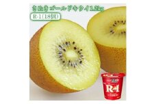 【ふるさと納税】【先行予約】【配送不可地域：北海道・沖縄県・離島】さぬきゴールドキウイ1.2kg(化粧箱) と四国明治株式会社で作られた プロビオヨーグルトR-1　18個
