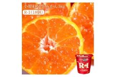 【ふるさと納税】【先行予約】【配送不可地域：北海道・沖縄県・離島】小原紅早生みかん 5kg と四国明治株式会社で作られた プロビオヨーグルトR-1　18個