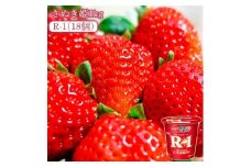 【ふるさと納税】【先行予約】【配送不可地域：北海道・沖縄県・離島】さぬき姫1kg と四国明治株式会社で作られた プロビオヨーグルトR-1　18個