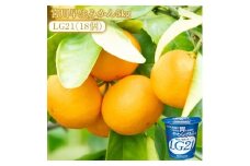 【ふるさと納税】【先行予約】【配送不可地域：北海道・沖縄県・離島】宮川早生みかん5kgと四国明治株式会社で作られた プロビオヨーグルトLG21　18個