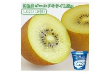 【ふるさと納税】【先行予約】【配送不可地域：北海道・沖縄県・離島】さぬきゴールドキウイ1.2kg(化粧箱) と四国明治株式会社で作られた プロビオヨーグルトLG21　18個