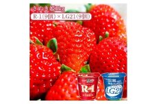 【ふるさと納税】【先行予約】【配送不可地域：北海道・沖縄県・離島】さぬき姫1kgと四国明治株式会社で作られた プロビオヨーグルトR-1とLG21　各9個