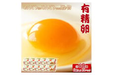 【ふるさと納税】おんどり君とめんどりさんの贈り物(6個入り×10P　計60個) 秋 旬