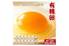 【ふるさと納税】おんどり君とめんどりさんの贈り物(6個入り×12P　計72個) 秋 旬